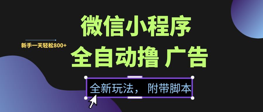 （15134期）微信小程序挂机撸广告，全新玩法，新手一天轻松800+【附带脚本】-大伟资源网