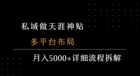 私域做天涯神贴 多平台布局 月入5k+详细流程拆解-大伟资源网
