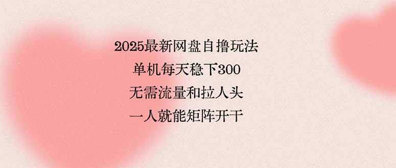（15831期）2025最新网盘自撸玩法，单机每天稳下3张，无需流量和拉人头，一个人就…-大伟资源网