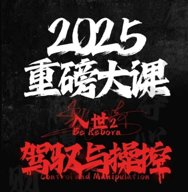 2025重磅大课，入世2，驾驭与控制-大伟资源网