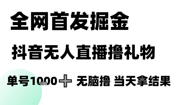 全网首发掘金抖音无人直播撸礼物，单号1k +无脑撸，当天拿结果【揭秘】-大伟资源网