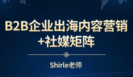 shirle老师·B2B企业出海内容营销+社媒矩阵-大伟资源网