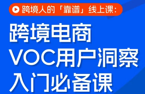 跨境电商VOC用户洞察入门必备课-大伟资源网