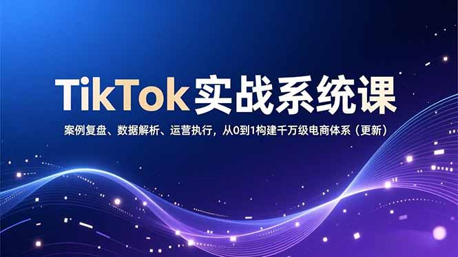 TikTok实战系统课，案例复盘、数据解析、运营执行，从0到1构建千万级电商体系(更新-大伟资源网