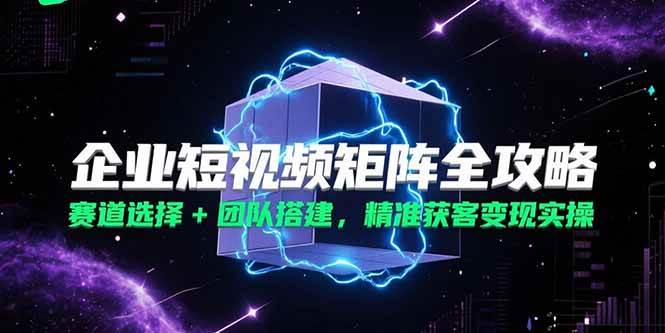 （15242期）企业短视频矩阵全攻略，赛道选择+团队搭建，精准获客变现实操-大伟资源网
