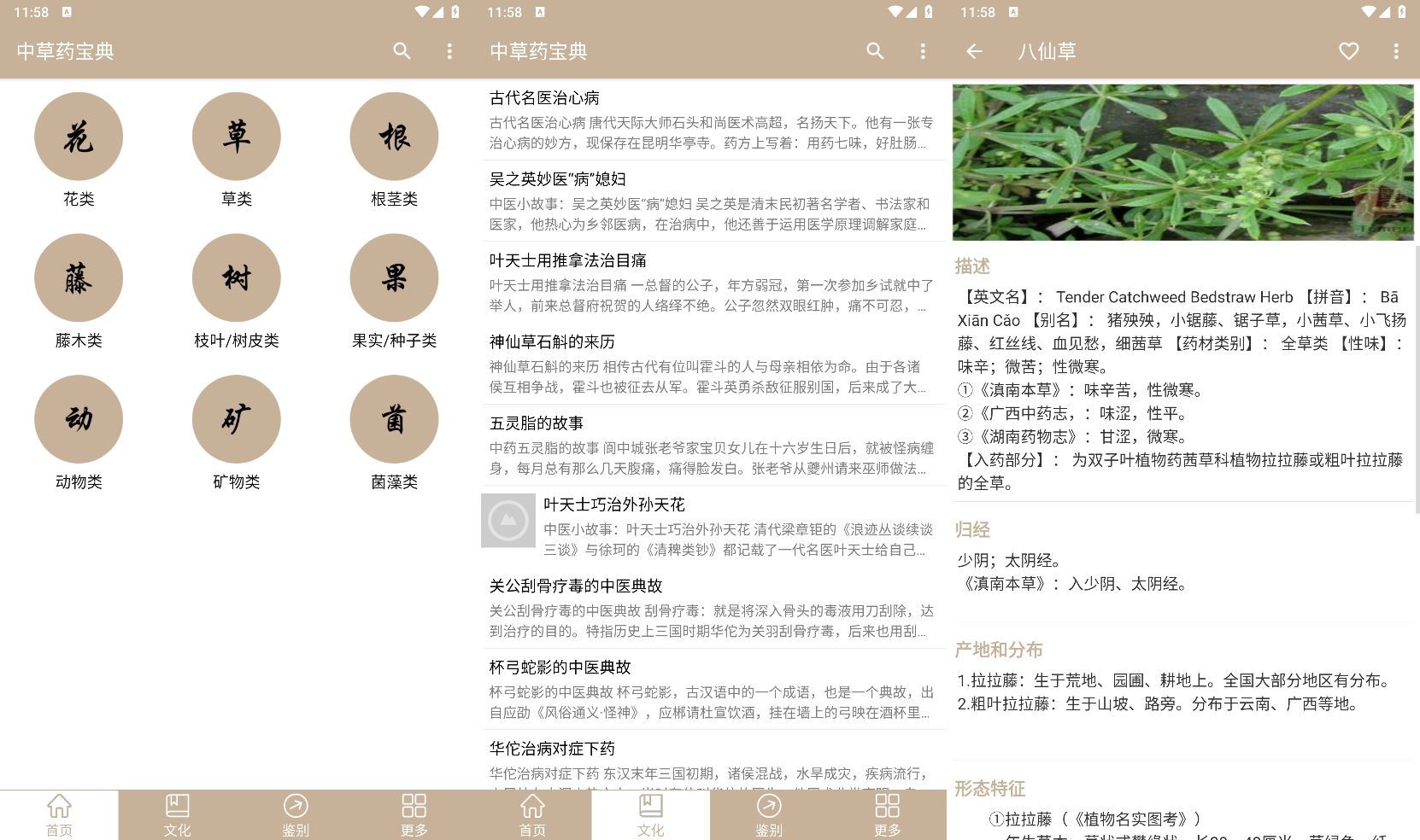 安卓中草药宝典v2.6.12纯净版-大伟资源网