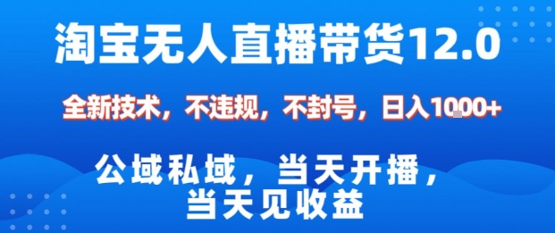 淘宝无人直播12.0，公域私域技术，不封号，不违规布局双十一流量风口，日入1k(独家技术)【揭秘】-大伟资源网