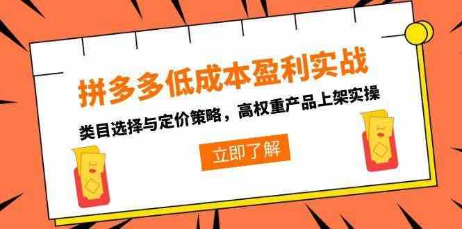 拼多多低成本盈利实战，类目选择与定价策略，高权重产品上架实操-大伟资源网