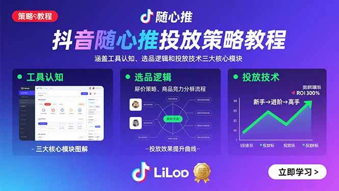 （15828期）抖音随心推投放策略教程：涵盖工具认知、选品逻辑和投放技术三大核心模块-大伟资源网
