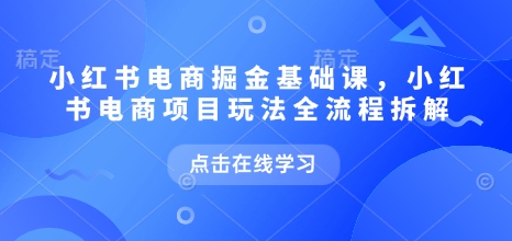 小红书电商掘金课，小红书电商项目玩法全流程拆解（更新7月）-大伟资源网