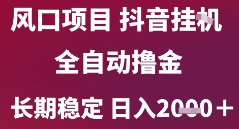风口项目，六月最新玩法抖音无人挂G，全自动撸金，长期稳定 日入2k+【揭秘】-大伟资源网