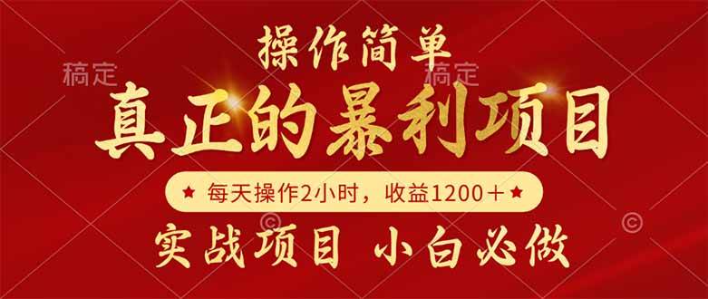 （14978期）真正的暴利项目，操作简单，每天收益1200＋，自己做老板-大伟资源网