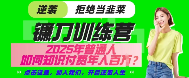 【网创项目终点站-镰刀训练营超级IP合伙人】25年普通人如何通过知识付费实现逆袭【揭秘】-大伟资源网