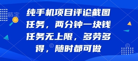 纯手机项目评论截图任务，两分钟一块钱 任务无上限多劳多得，随时随地都能做【揭秘】-大伟资源网