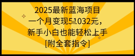 2025最新蓝海项目一个月变现1w+新手小白也能轻松上手【附全套指令】-大伟资源网
