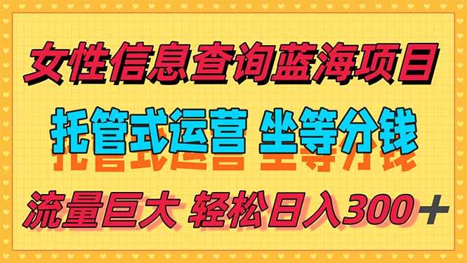 （15216期）稳定日入300＋，小众信息查询蓝海项目，全程懒人式托管，解放你的时间-大伟资源网