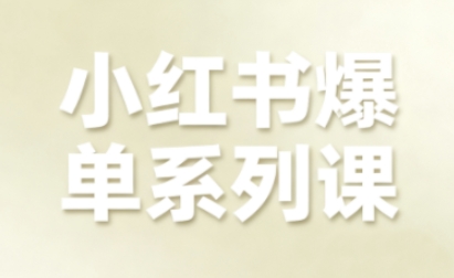 小红书爆单系列课，聚焦小红书电商全链路增长(更新)-大伟资源网