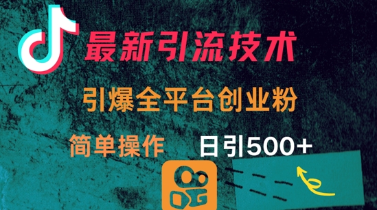 最新引流方法，引爆全平台的一个创业粉，简单操作日引300+-大伟资源网
