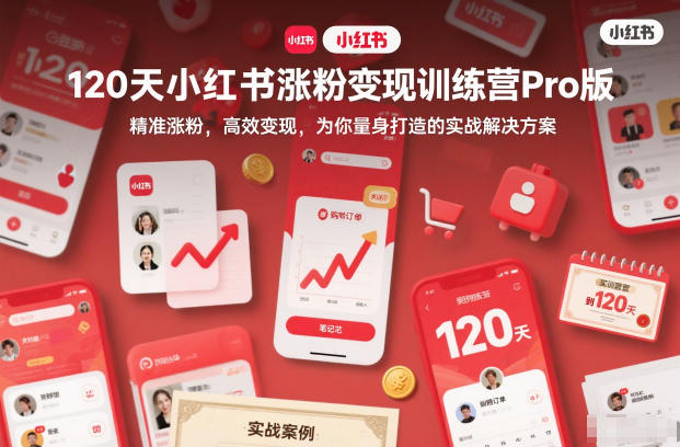 120天小红书涨粉变现训练营Pro版，精准涨粉，高效变现，为你量身打造的实战解决方案-大伟资源网
