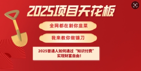 2025项目天花板普通人如何通过知识付费，实现财F自由【揭秘】-大伟资源网